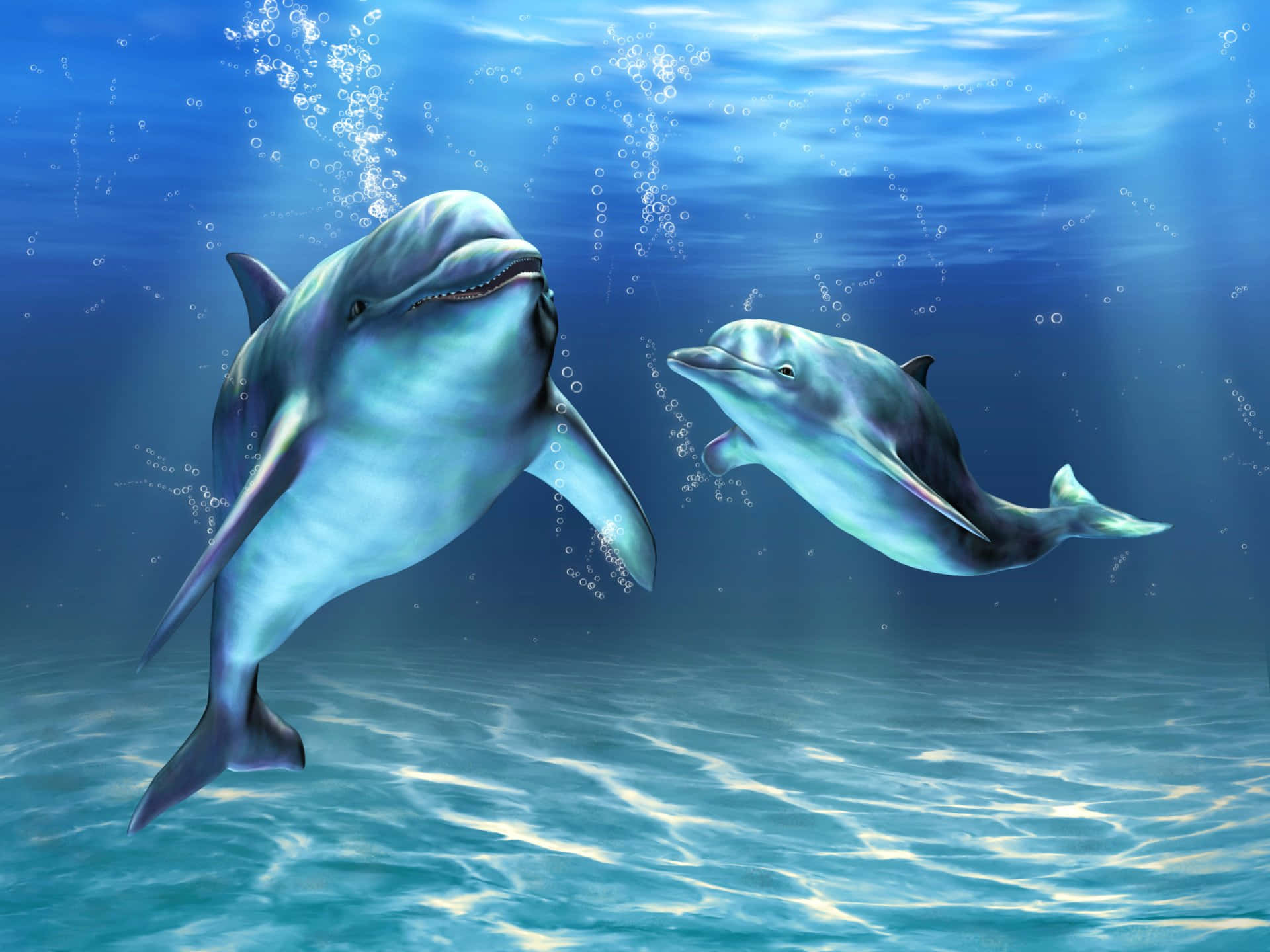 兩條海豚在清澈的藍色海水中向上游，陽光穿透水面。