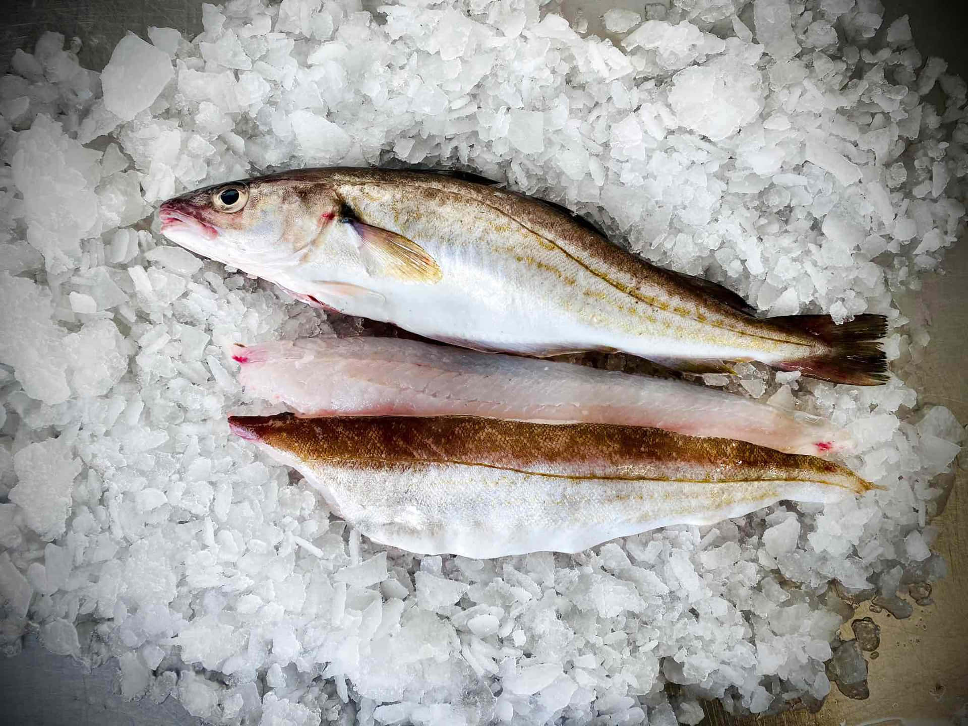  壁紙 — 兩條新鮮魚，帶有銀色鱗片和粉紅色魚肉，放在一層粗白鹽晶體上。