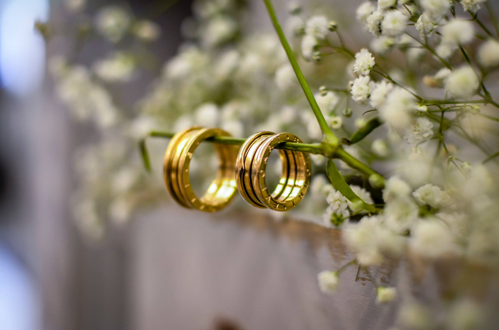 兩枚金色結婚戒指放在滿天星花莖上。