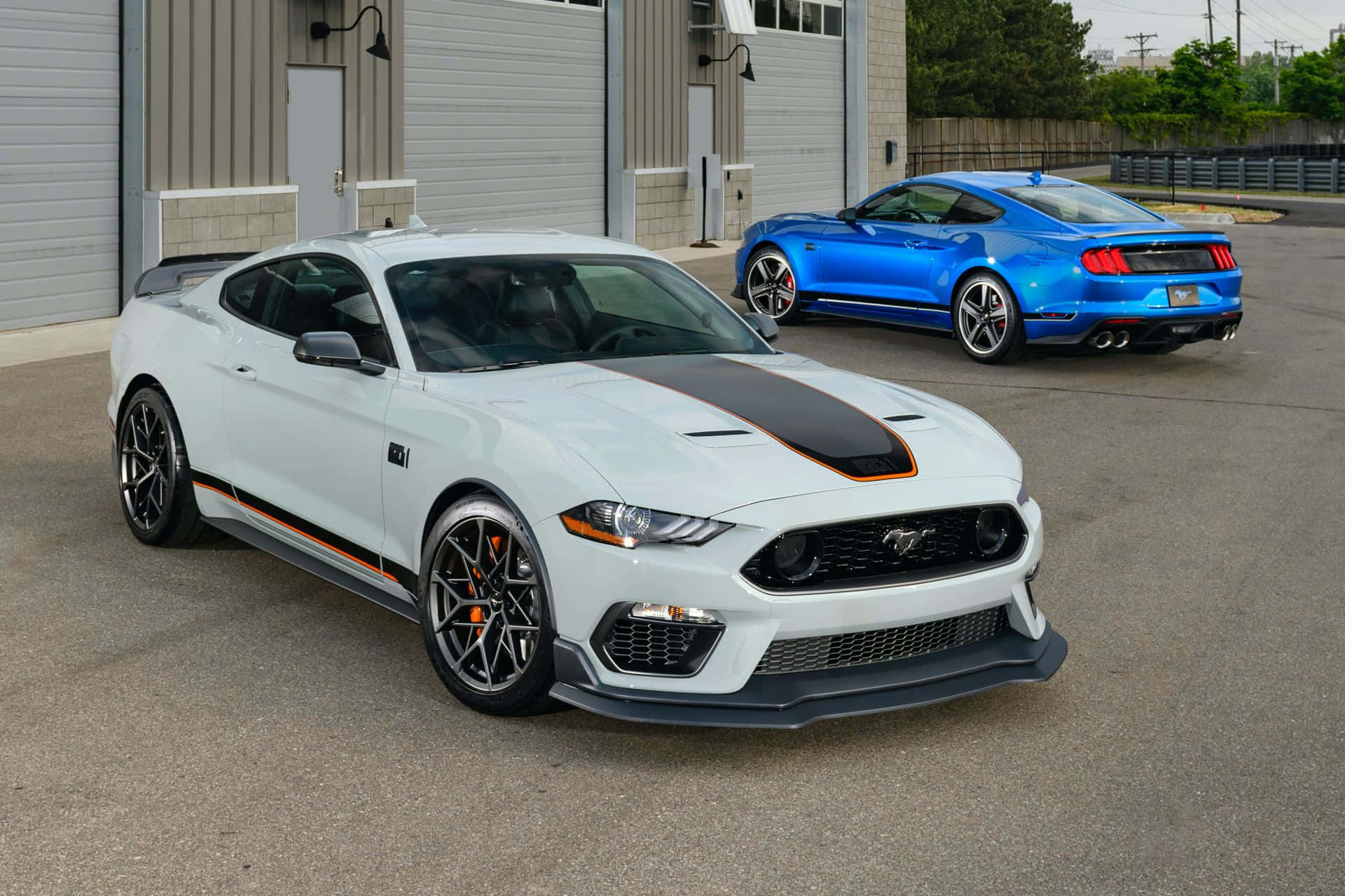 Ford Mustang Mach 1 桌布 壁紙 — 兩輛高性能野馬，一輛白色黑條紋和一輛藍色，停在一棟現代工業建築外。