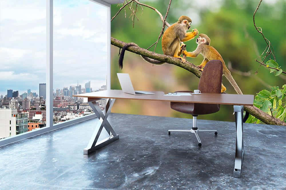 Squirrel Monkey 桌布 壁紙 — 兩隻猴子坐在一條樹枝上，樹枝延伸到一個現代辦公室，透過玻璃窗可以看到城市景觀。