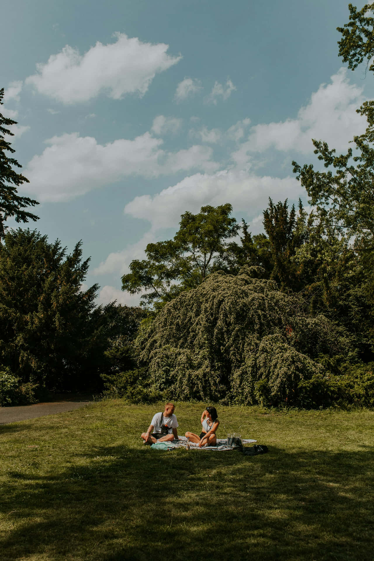  壁紙 — 兩個人在公園的草地上鋪著毯子放鬆，天空局部多雲，周圍是茂密的綠樹。