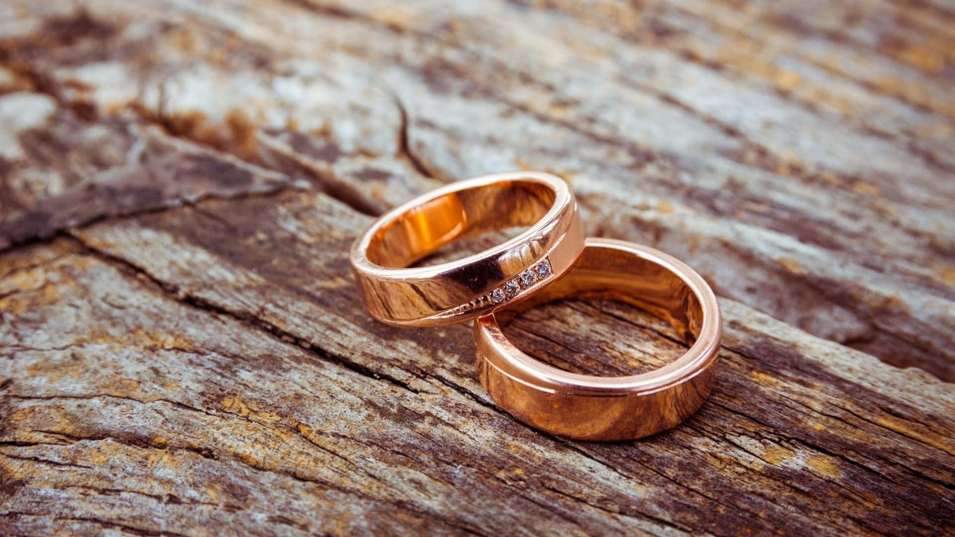 兩枚玫瑰金結婚戒指，帶有鑽石，置於質樸的木頭上。