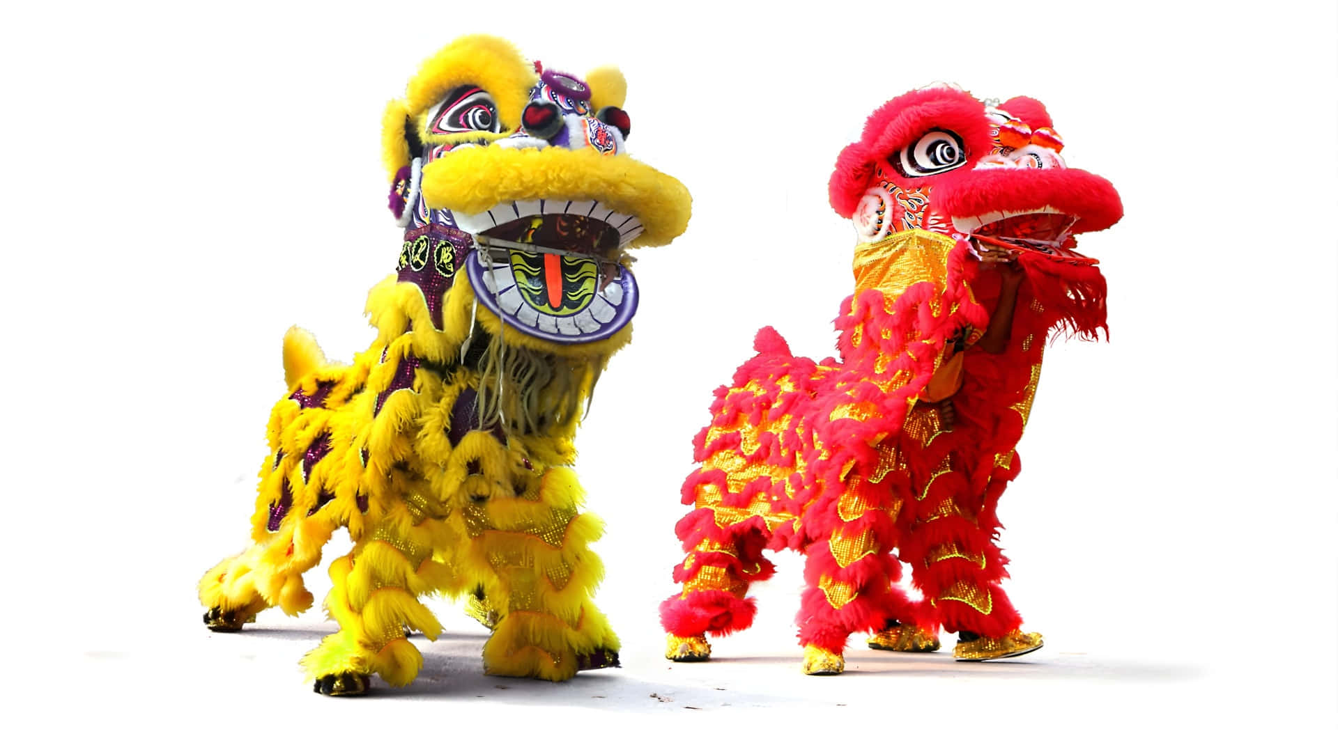  壁紙 — 兩件充滿活力的傳統中國舞獅服裝，一件黃色一件紅色，在純白背景前蓄勢待發。