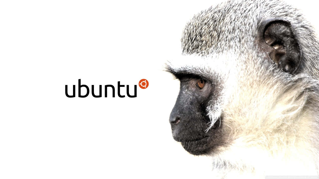 白色背景上，猴子側面旁邊的 Ubuntu 標誌。