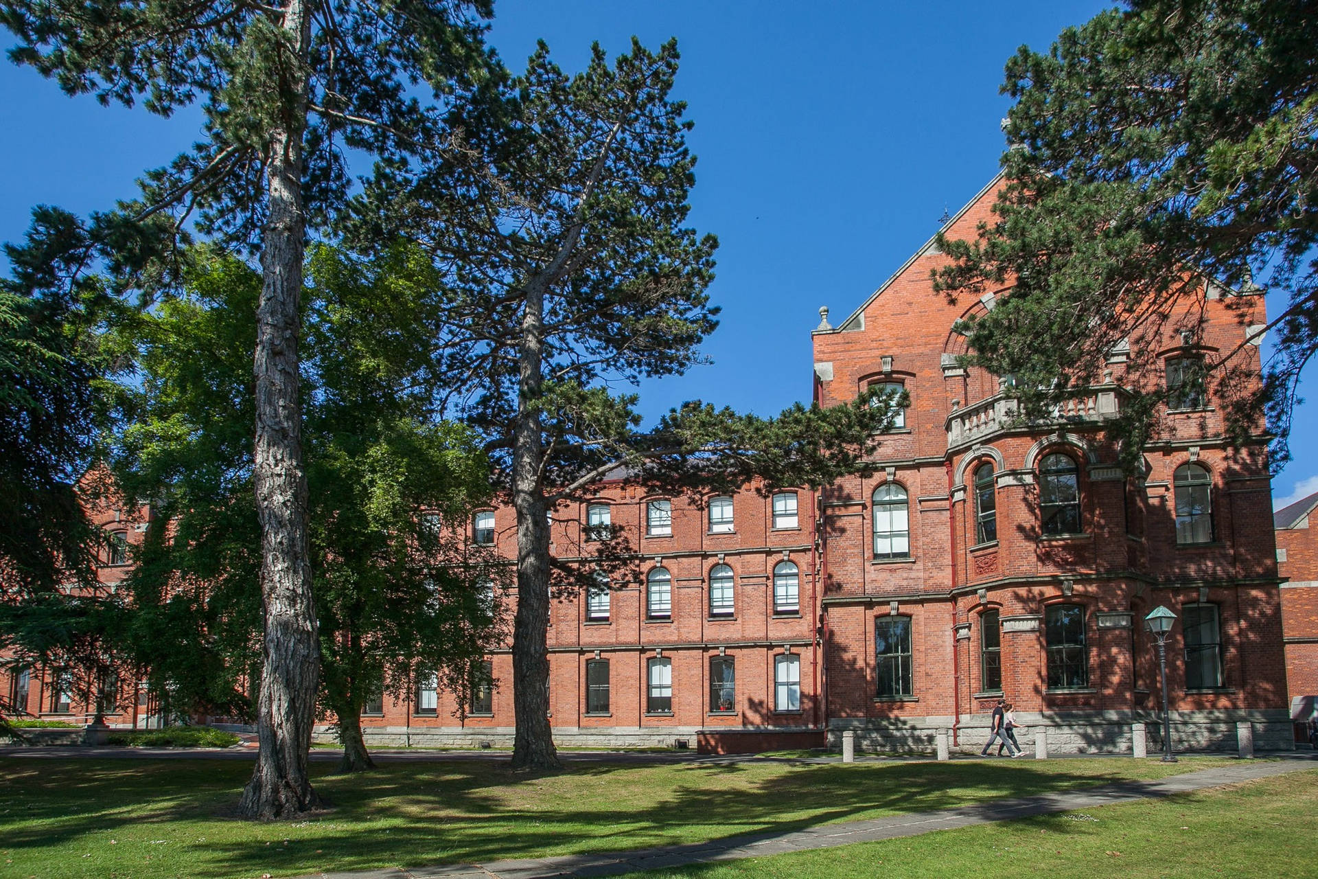 紅磚大學建築，樹木和草地，明亮的藍天