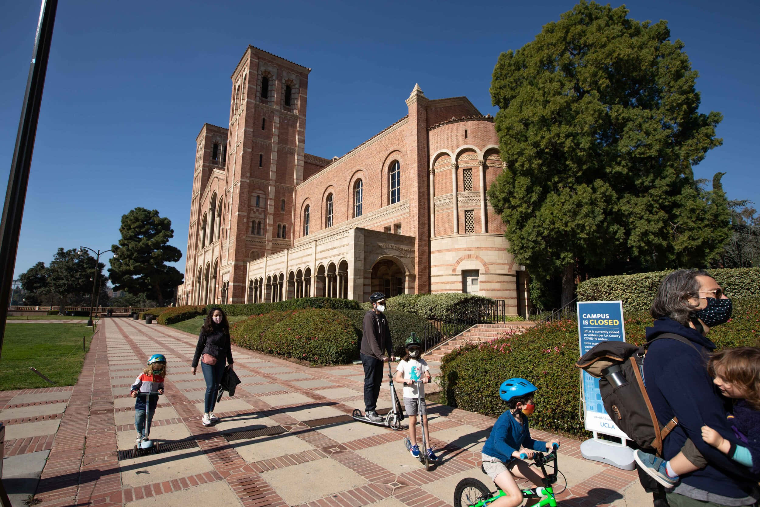 環繞美麗綠意的UCLA校園 壁紙 — 人們帶著孩子沿著磚砌小路騎滑板車和單車，背景是一座宏偉的紅磚大學建築，天空湛藍。