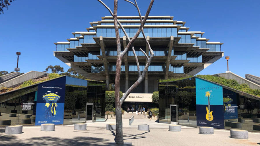 UCSD 標語橫幅 壁紙 — 現代粗獷主義圖書館，階梯式玻璃外牆，在晴朗藍天下，由光禿的樹枝框出。