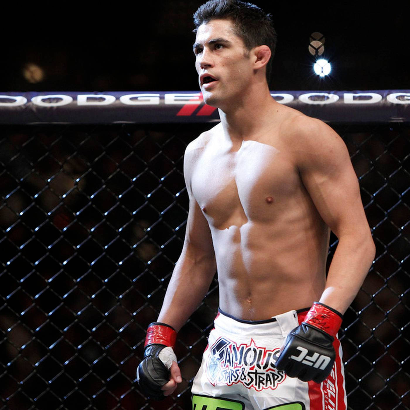 UFC運動員多米尼克·克魯茲 壁紙 — 一位肌肉發達的男性拳手穿著UFC短褲和手套，站在八角籠內，頭頂是明亮的場館燈光。