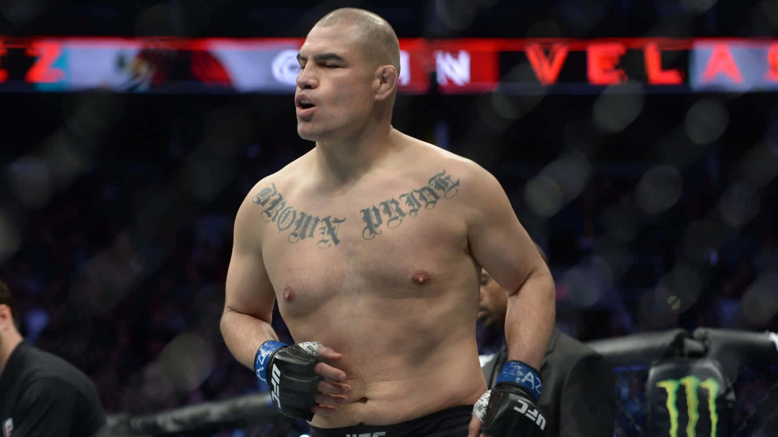 綜合格鬥選手凱恩·維拉茲蓋茲UFC 121 壁紙 — 一位肌肉發達的戰士，胸前紋有「MOUNT PAIN」字樣，在比賽期間站在UFC八角籠內。
