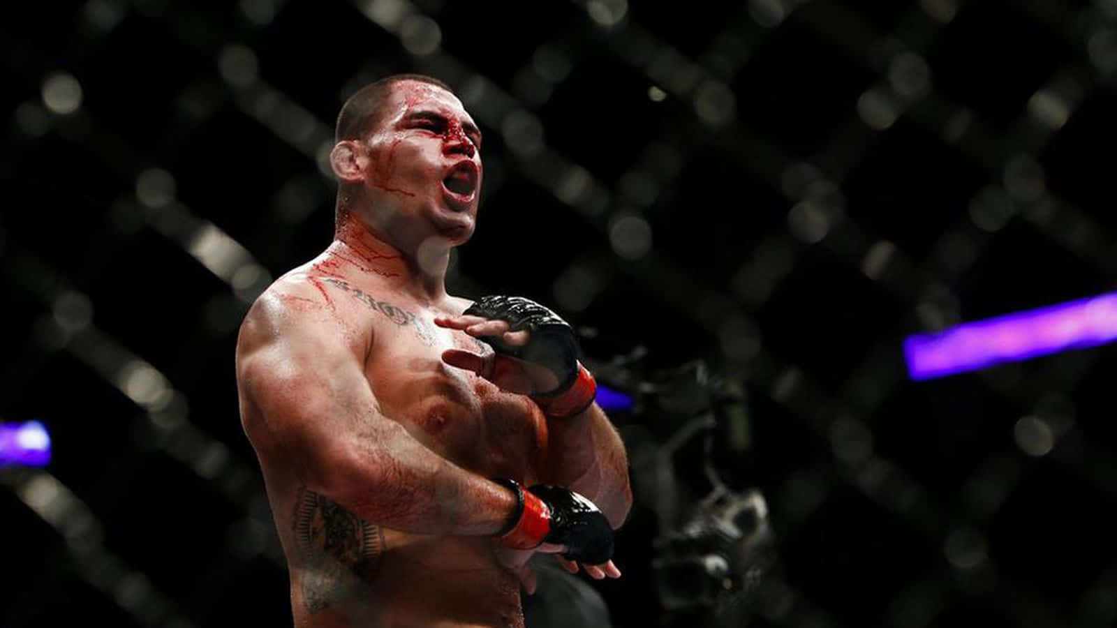 一名渾身是血的勝利MMA拳手在八角籠內慶祝。