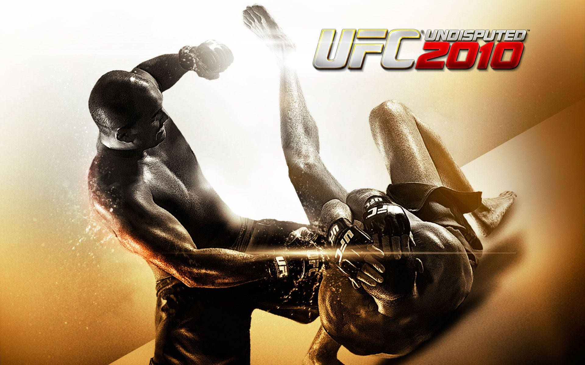 兩位 MMA 拳手以空中戰鬥姿勢為 UFC Undisputed 2010 遊戲封面擺拍。