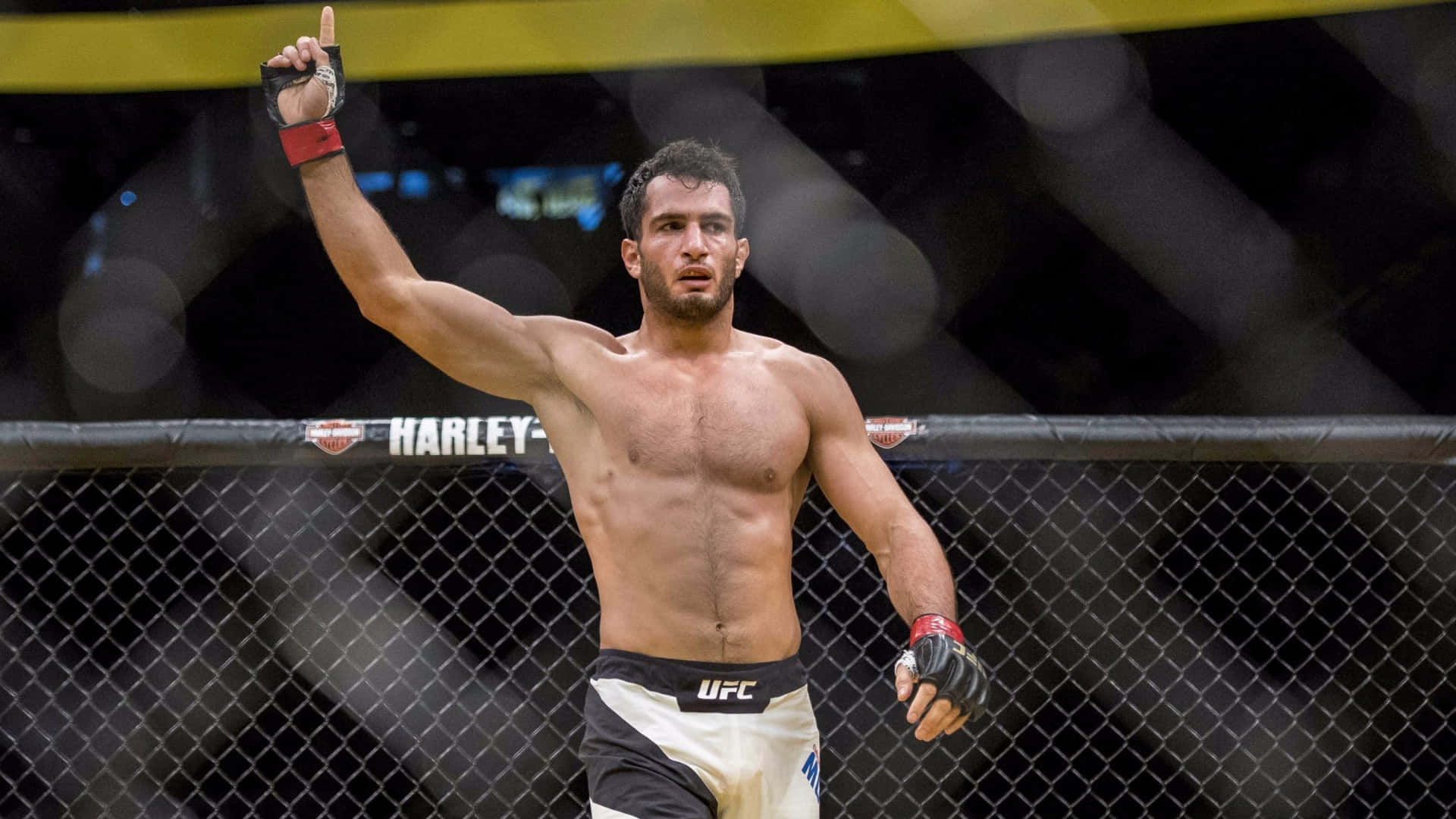 MMA拳手在UFC八角籠中舉拳慶祝勝利。