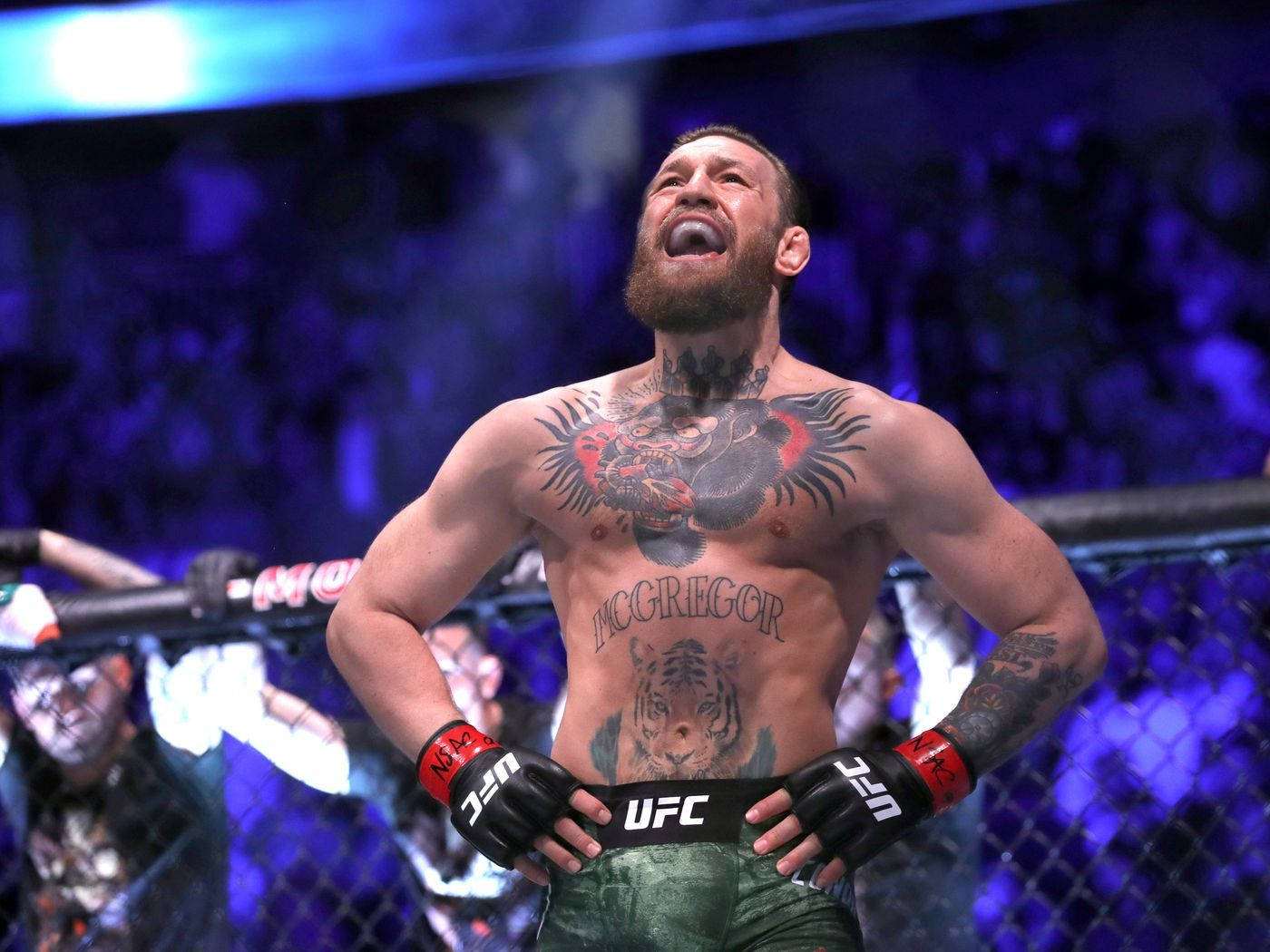 UFC Conor McGregor 环中 4K 壁紙 — 康納·麥格雷戈在UFC八角籠中，在藍色場館燈光下，紋身閃耀，發出勝利的咆哮。