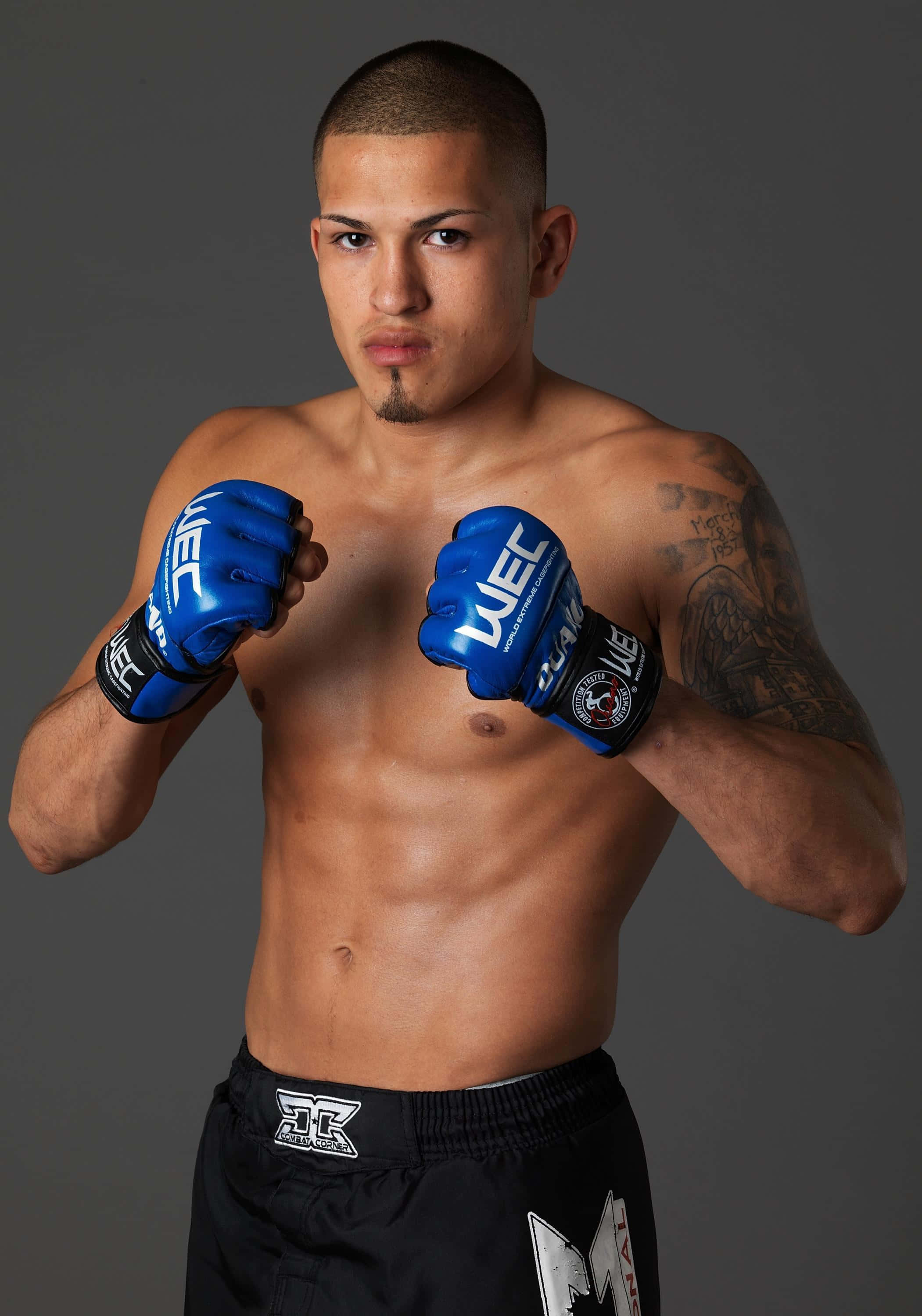熱血拉丁風UFC選手安東尼·佩蒂斯 壁紙 — 一位肌肉發達的拳擊手，戴著藍色手套和黑色短褲，在灰色工作室背景前擺出強烈的姿勢。