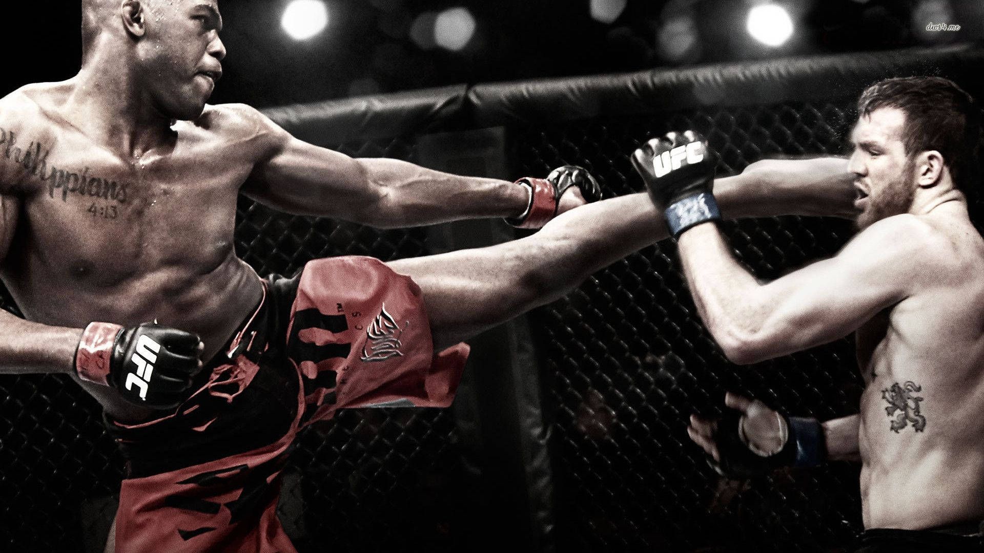 UFC 輕重量級對決 壁紙 — 兩名MMA拳手在籠中交鋒，其中一人踢出高踢，另一人在明亮的場館燈光下阻擋。