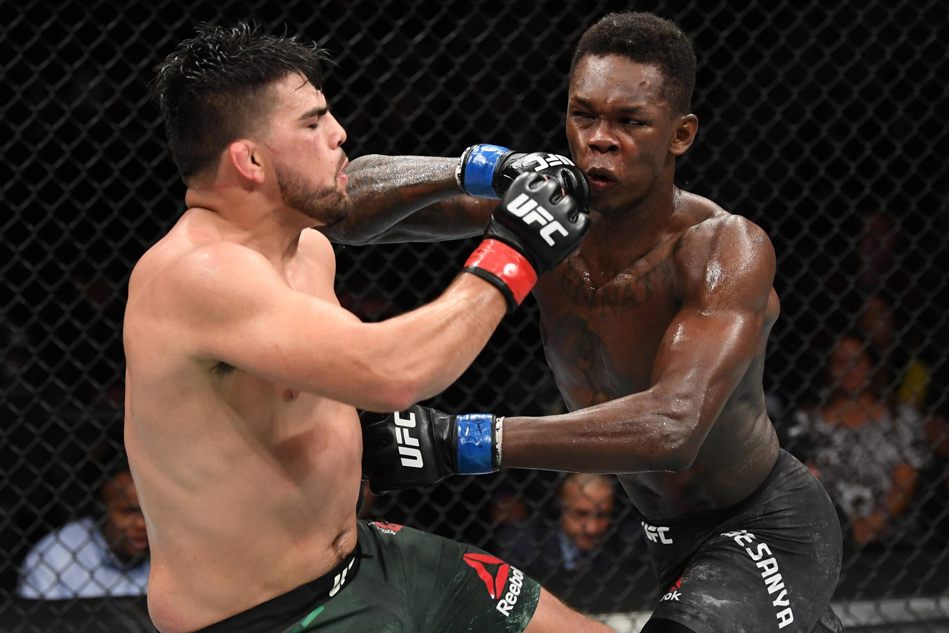兩名MMA拳手在UFC八角籠內互相出拳。