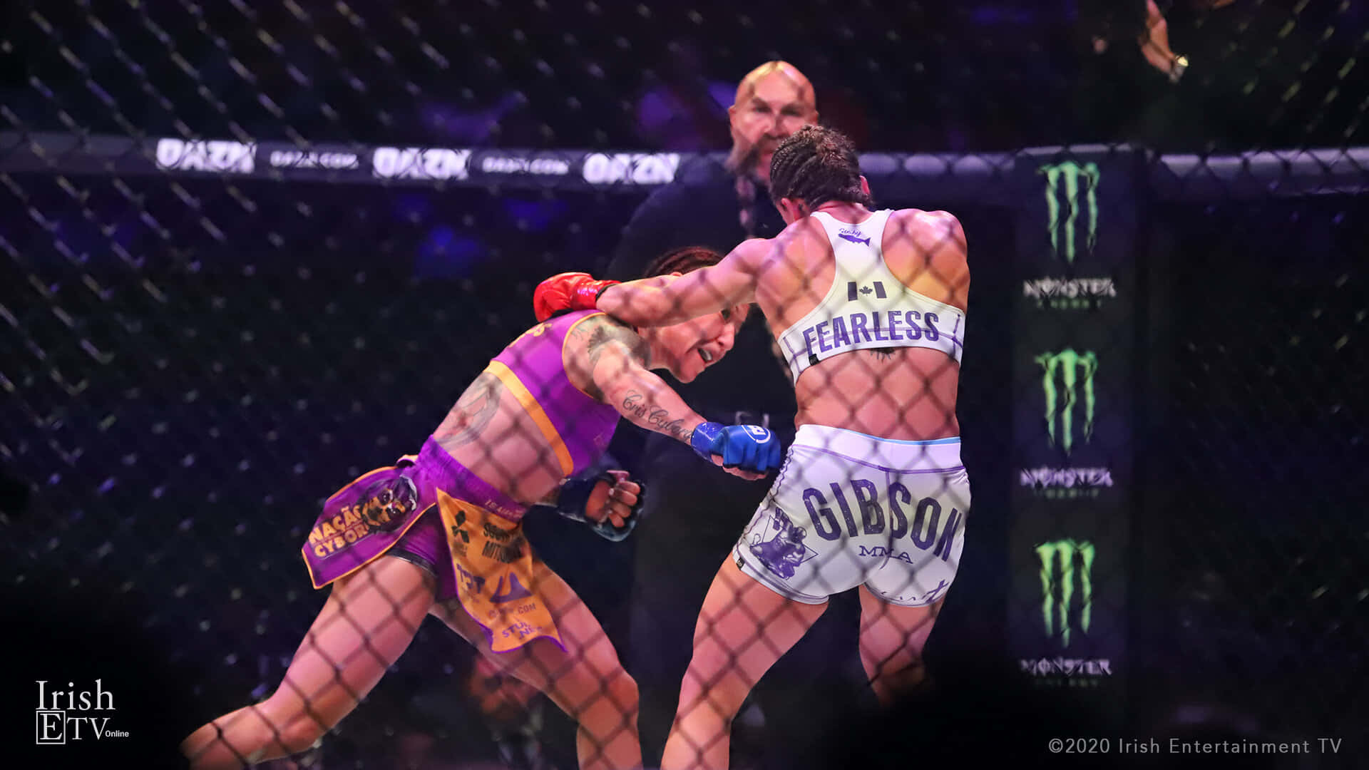 UFC選手Cris Cyborg與Julia Budd Bellator 238遠攝對戰照 壁紙 — 兩名女拳手在明亮的場館燈光下，於混合武術比賽中在籠內交鋒。