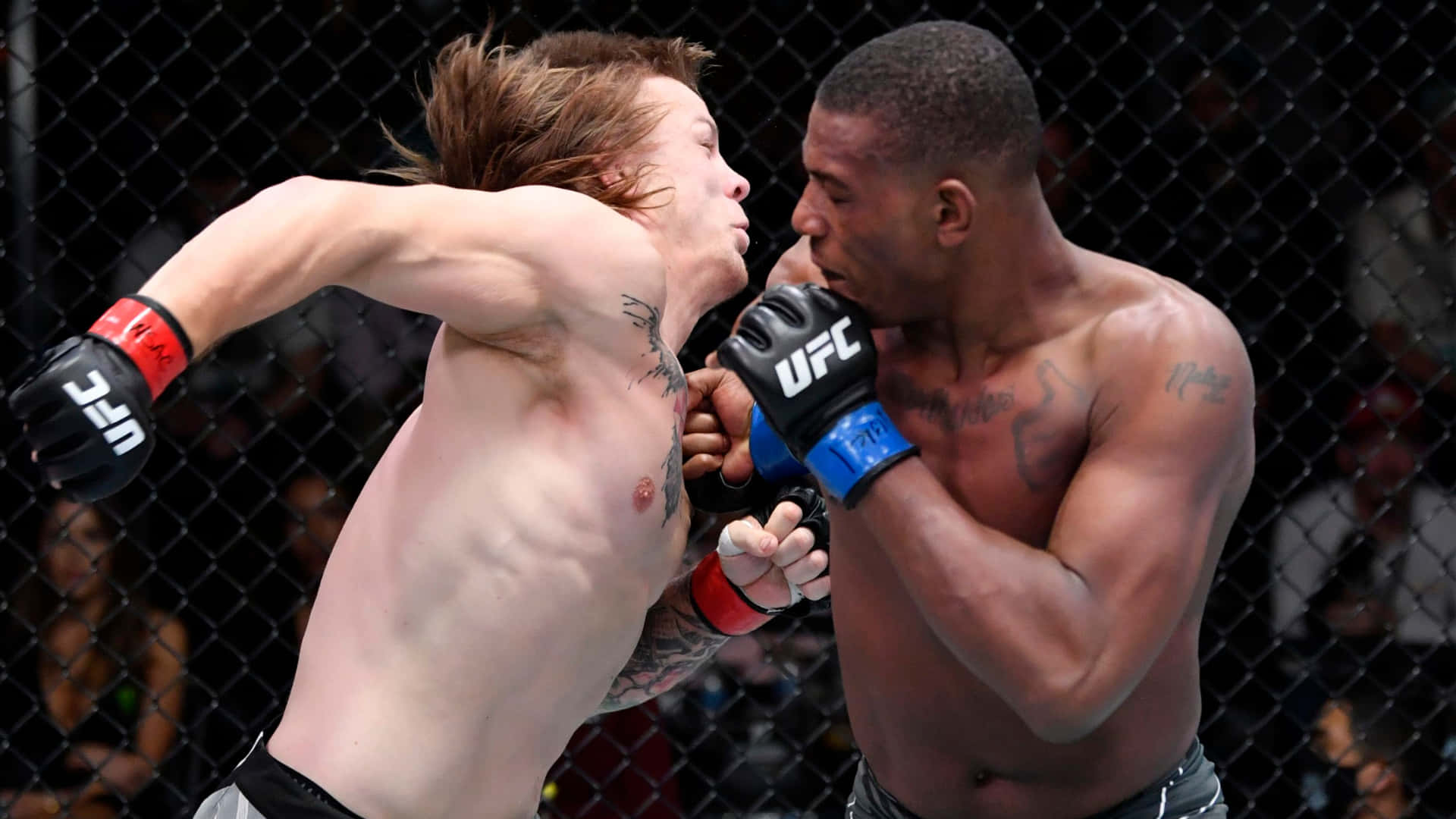 兩名MMA拳手在UFC比賽期間於籠中互毆。