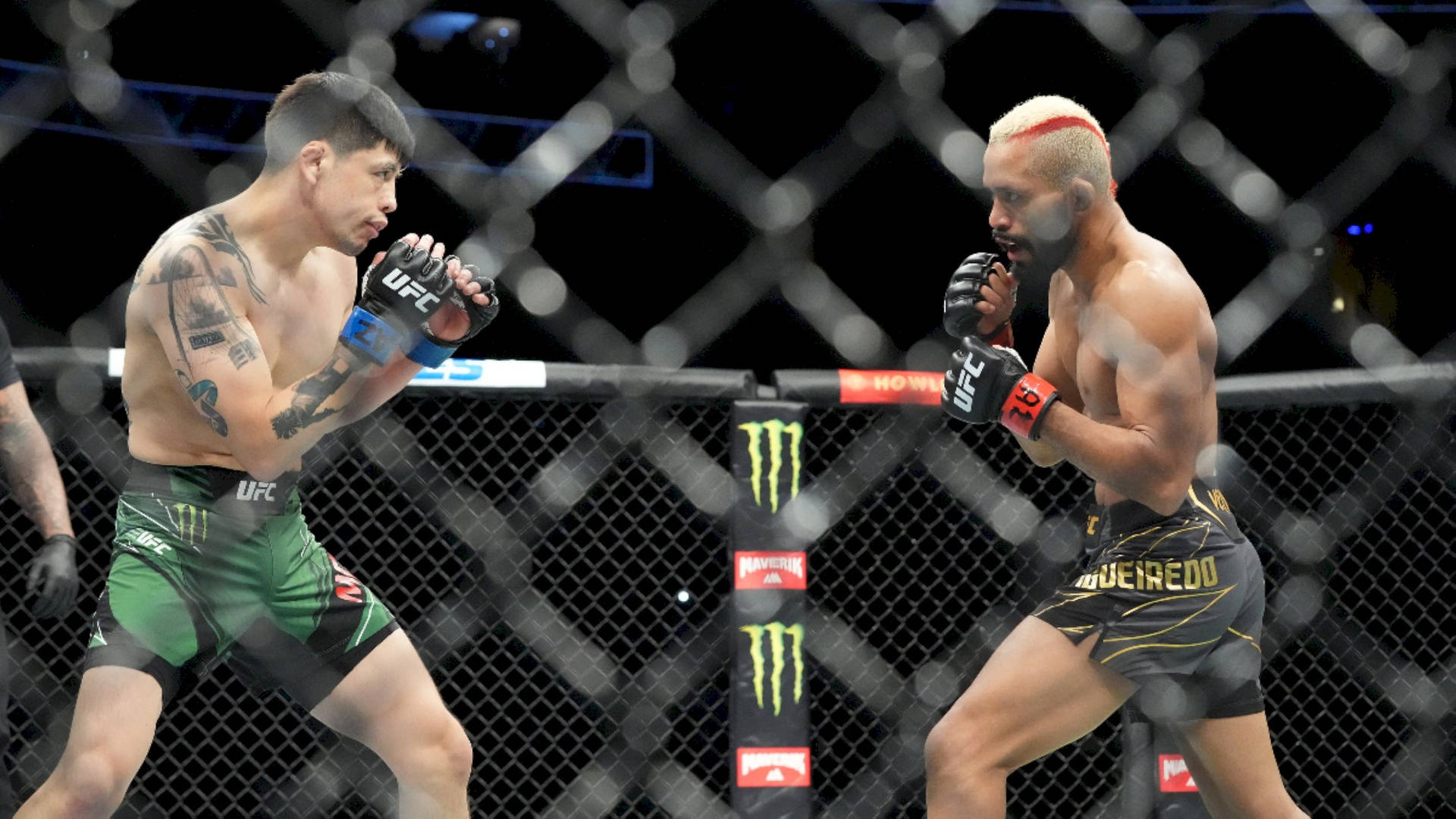 兩名男性MMA拳手在八角籠內擺出戰鬥姿勢。