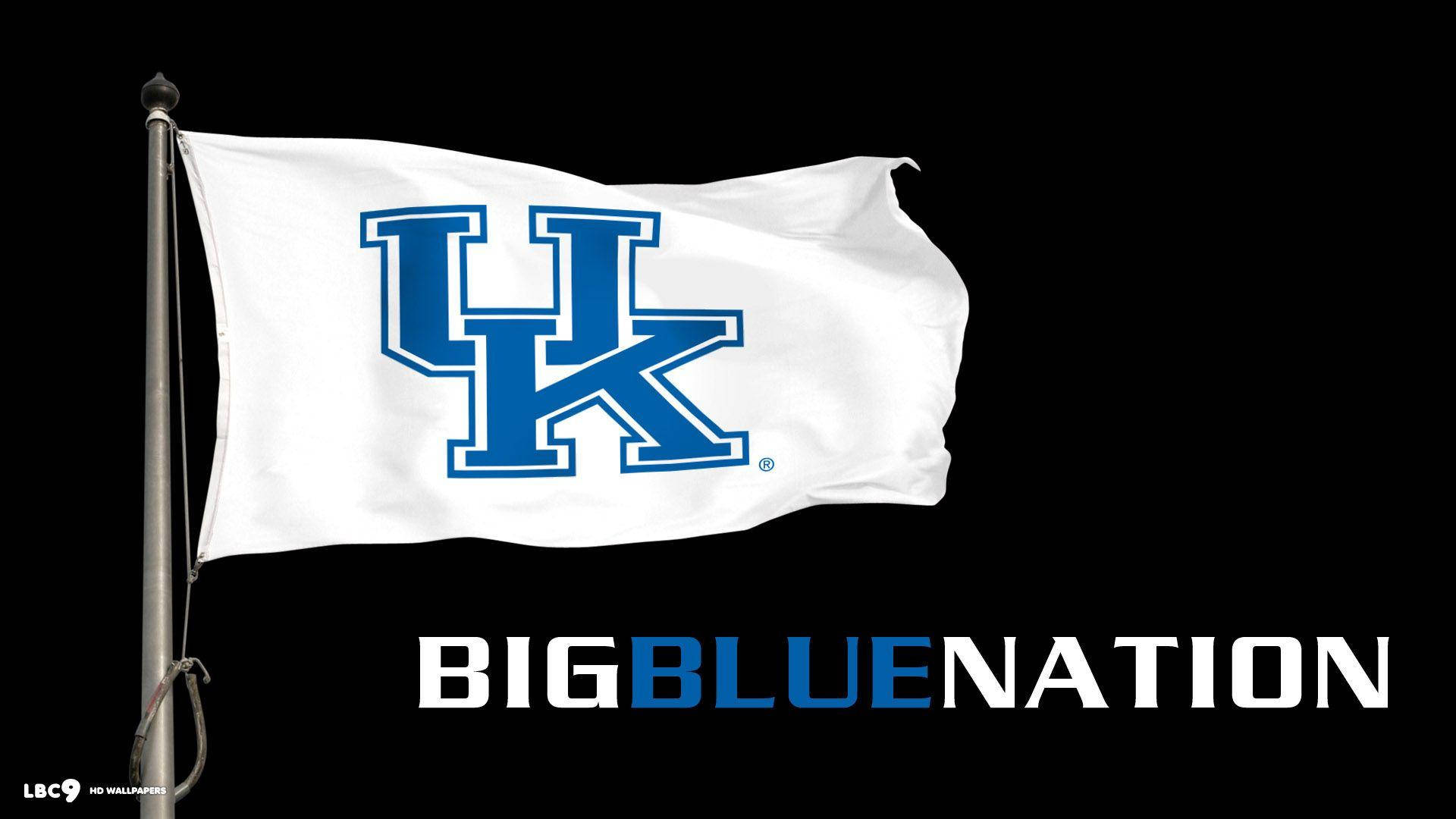 肯塔基野貓旗幟飄揚，帶有「BIGBLUE NATION」文字