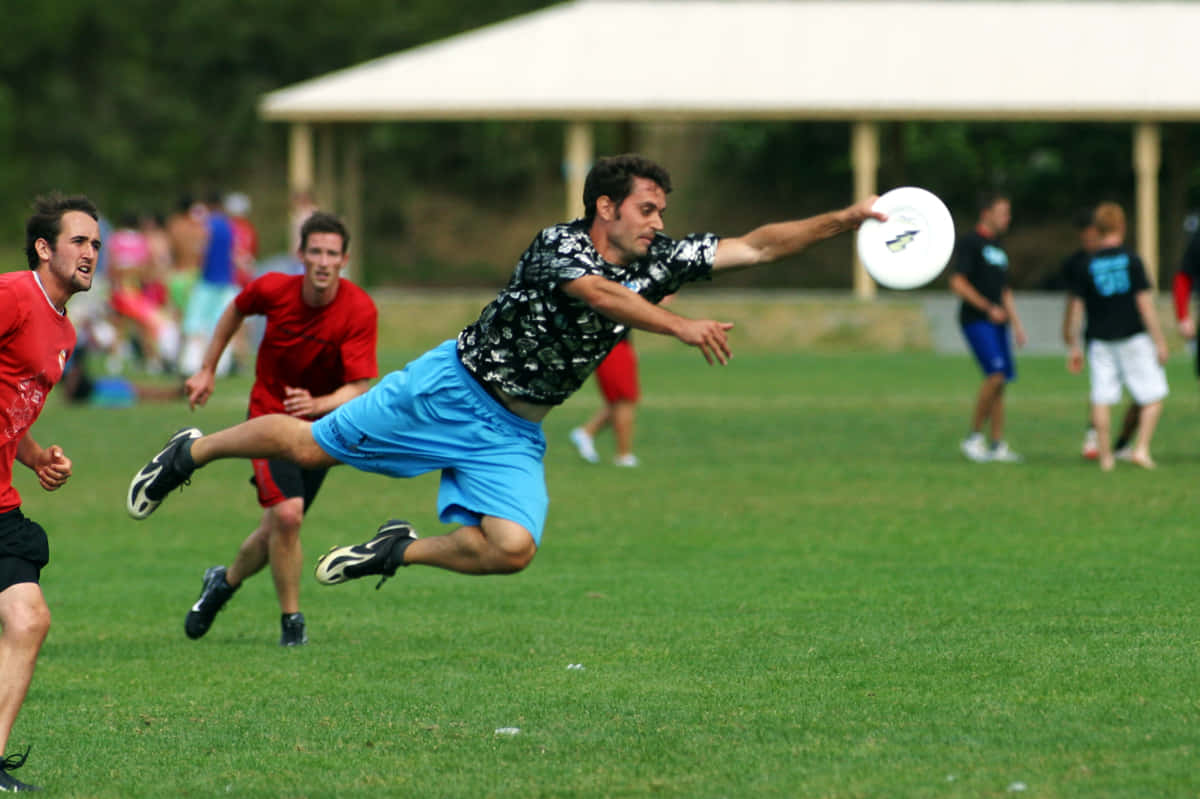 男子接盤最佳 Ultimate Frisbee 背景 壁紙 — 一名穿藍色短褲的男子在草地上躍起，伸手去接一個白色飛盤，其他人則在後面追趕。