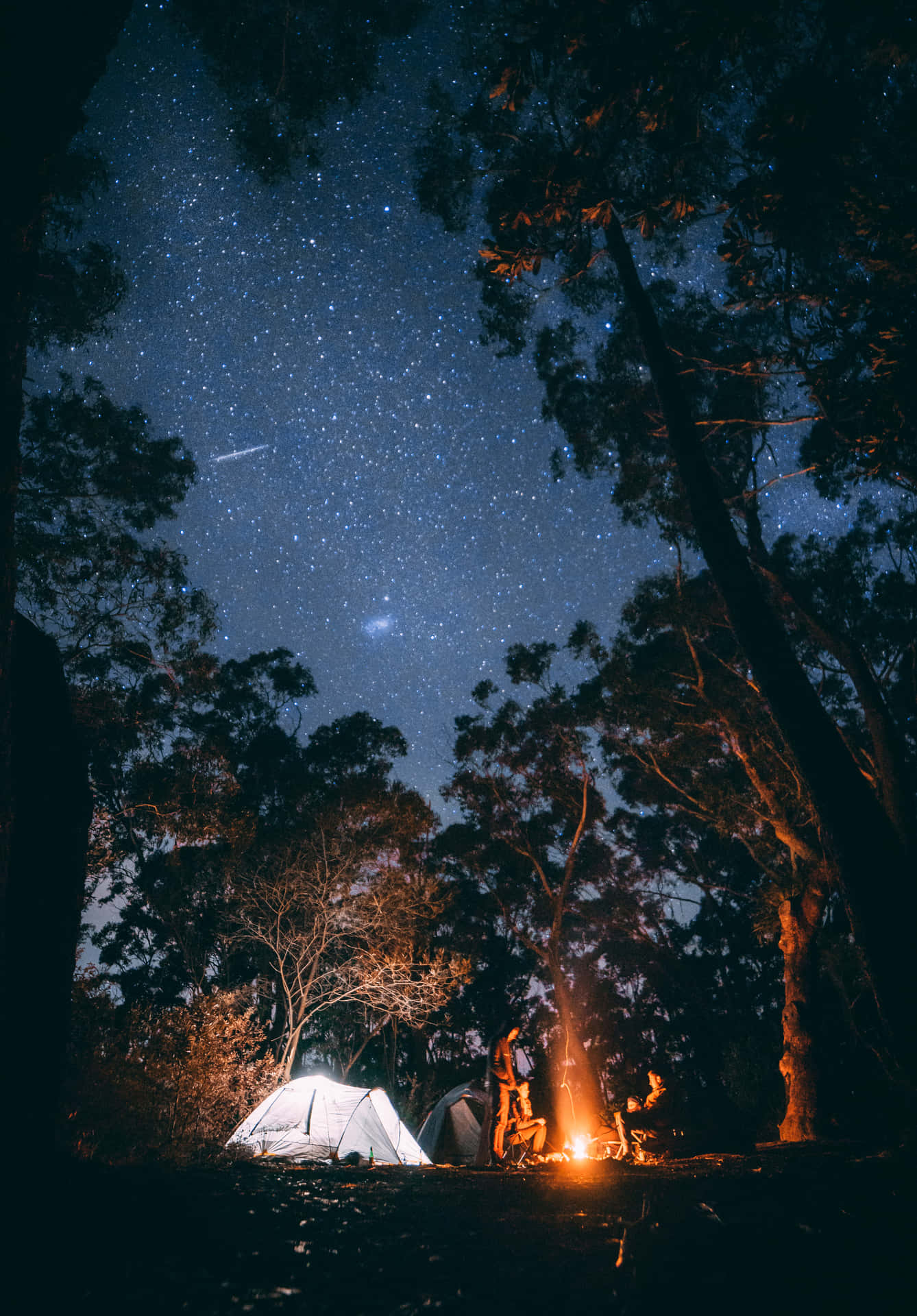 露營者在夜晚的森林中，在星空下圍坐在火堆旁。