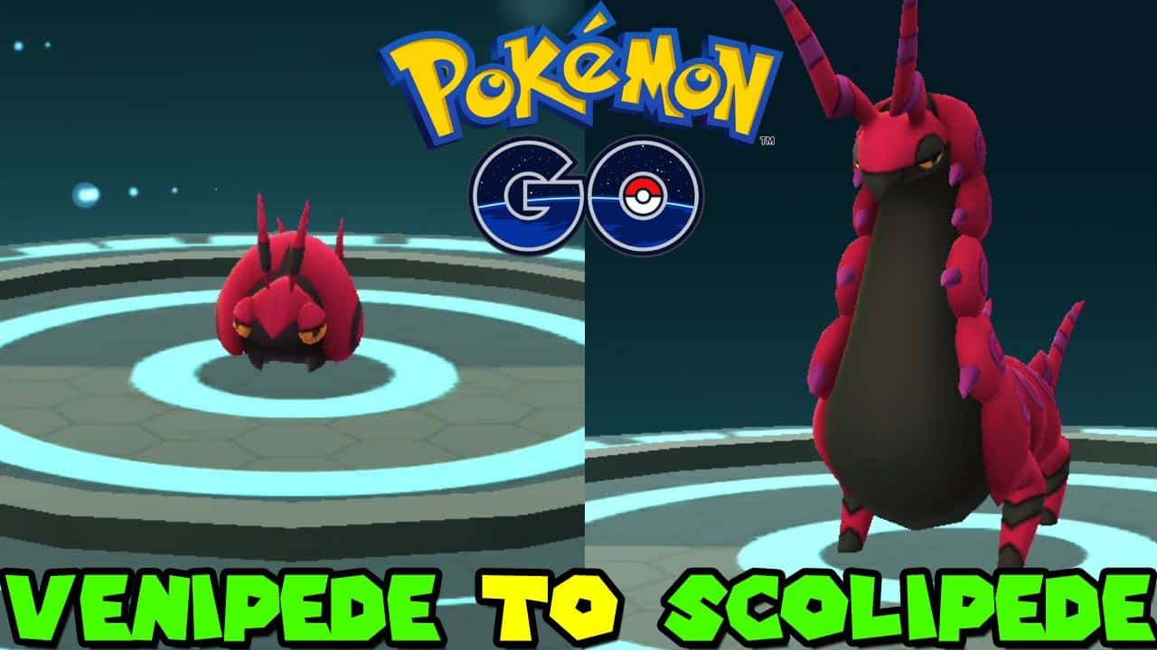 Venipede 在 Pokémon GO 戰鬥競技場進化成 Scolipede。