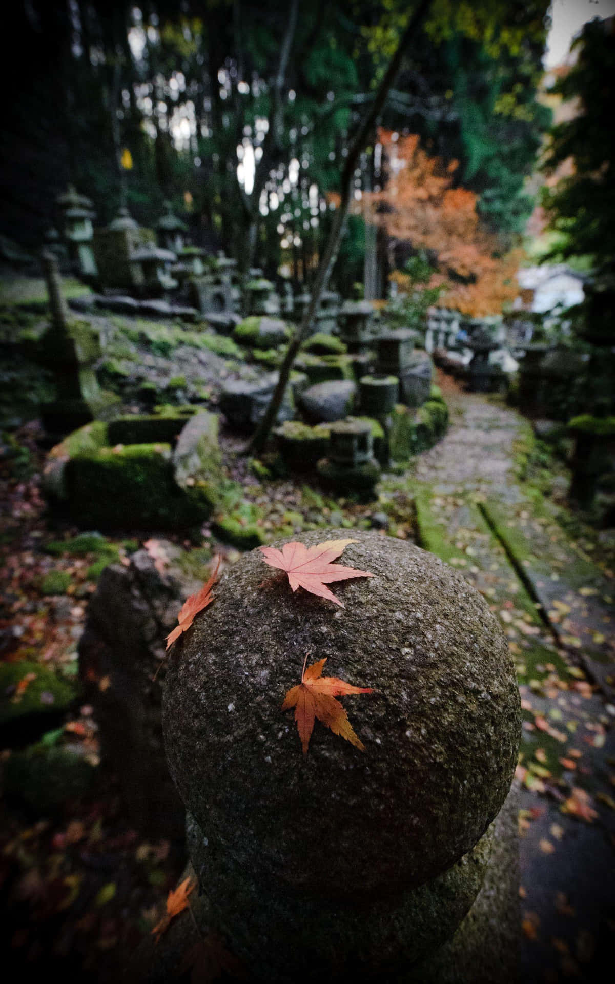  壁紙