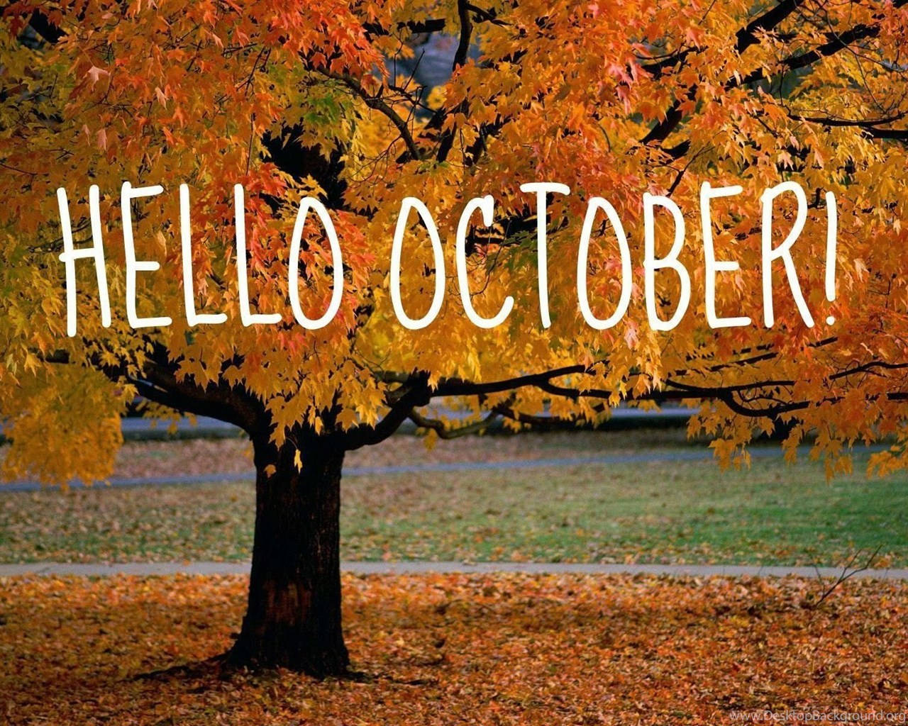 金黃葉子的秋樹，帶有 'Hello October!' 文字覆蓋。