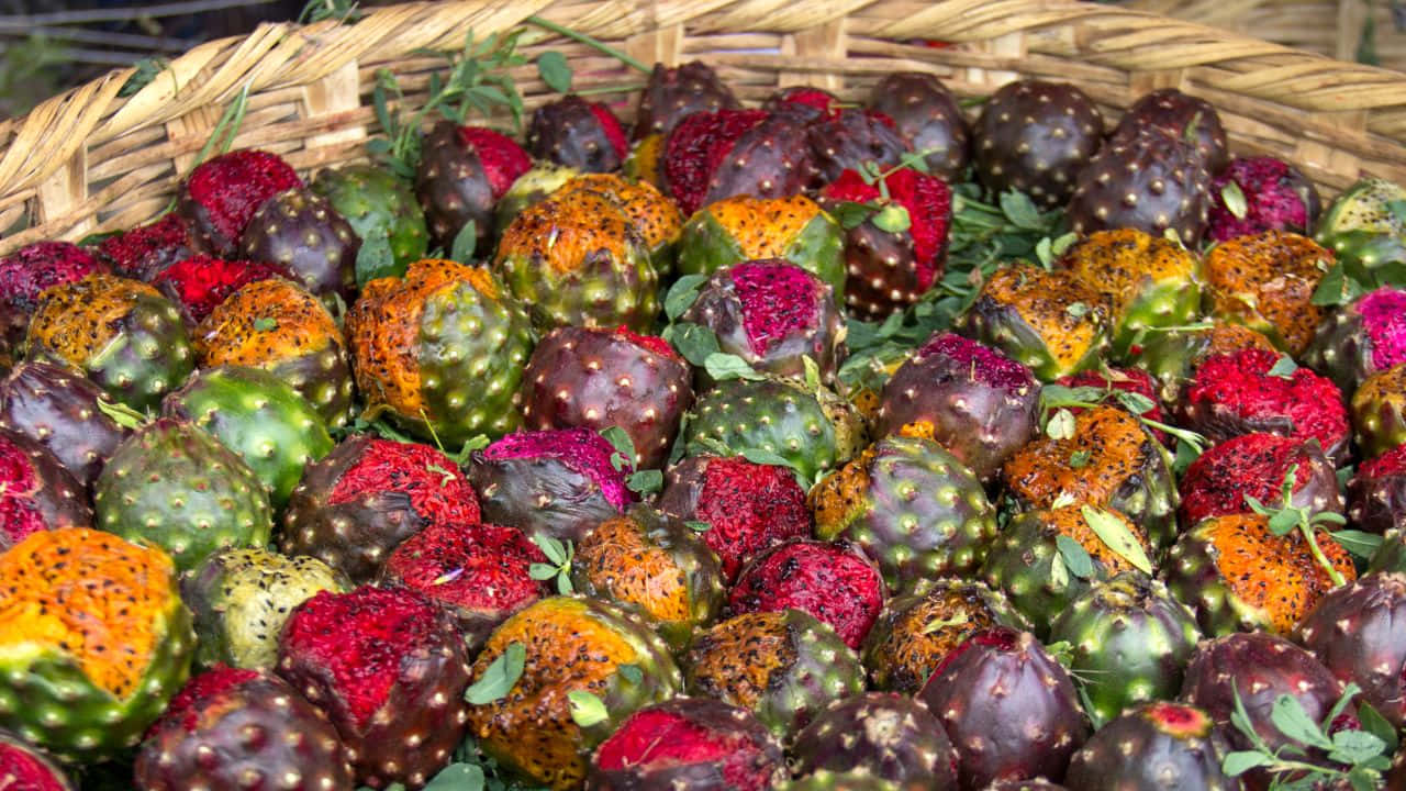 Red Fruit 桌布 壁紙 — 一個充滿活力的籃子，裝滿了紅色、橙色和綠色色調的彩色仙人掌果實，新鮮香草散落其中。