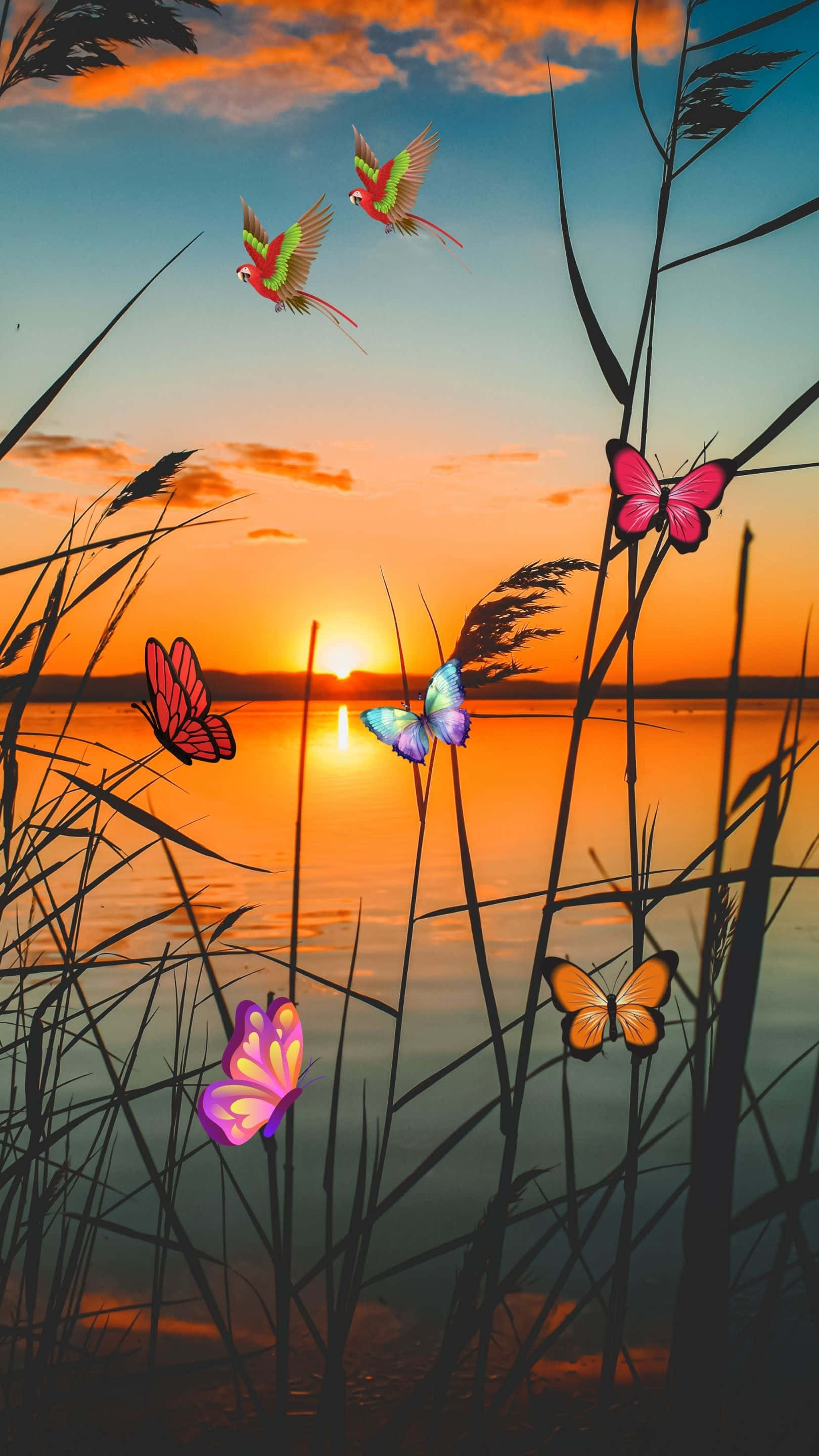 夕陽灑落寧靜湖面，彩色蝴蝶與熱帶鸚鵡飛舞於蘆葦叢中 壁紙 — 色彩繽紛的蝴蝶和鸚鵡在平靜水面上熾熱的日落中，在蘆葦間飛舞。