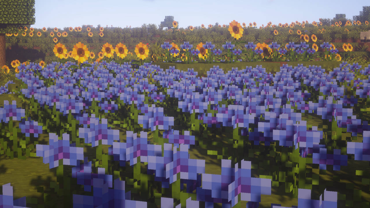 Minecraft遊戲世界中的像素化藍色和黃色花田。
