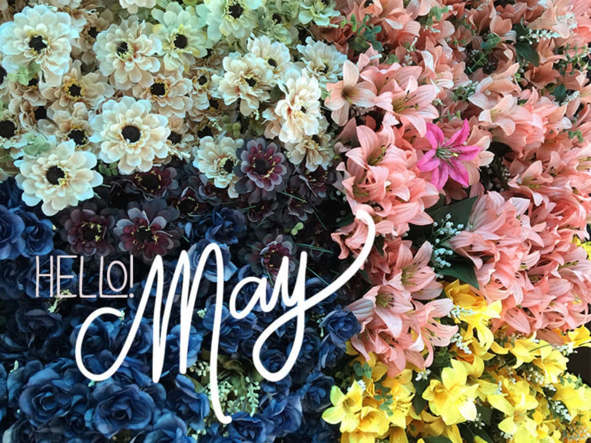 色彩繽紛的花卉牆，帶有 'Hello May' 文字問候。
