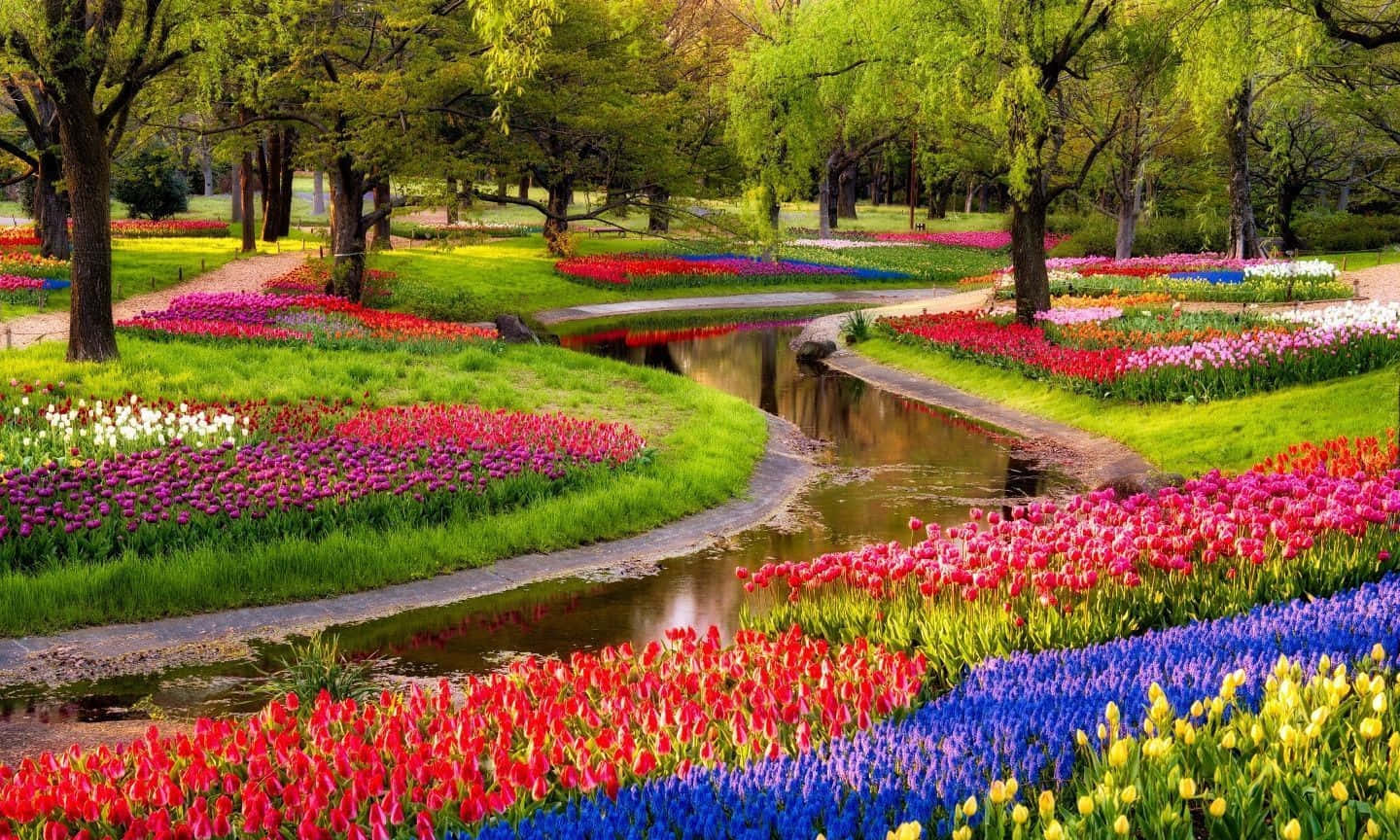 一條蜿蜒的小溪流過一個色彩繽紛的花園，花園裡種滿了鬱金香和風信子，綠樹成蔭。