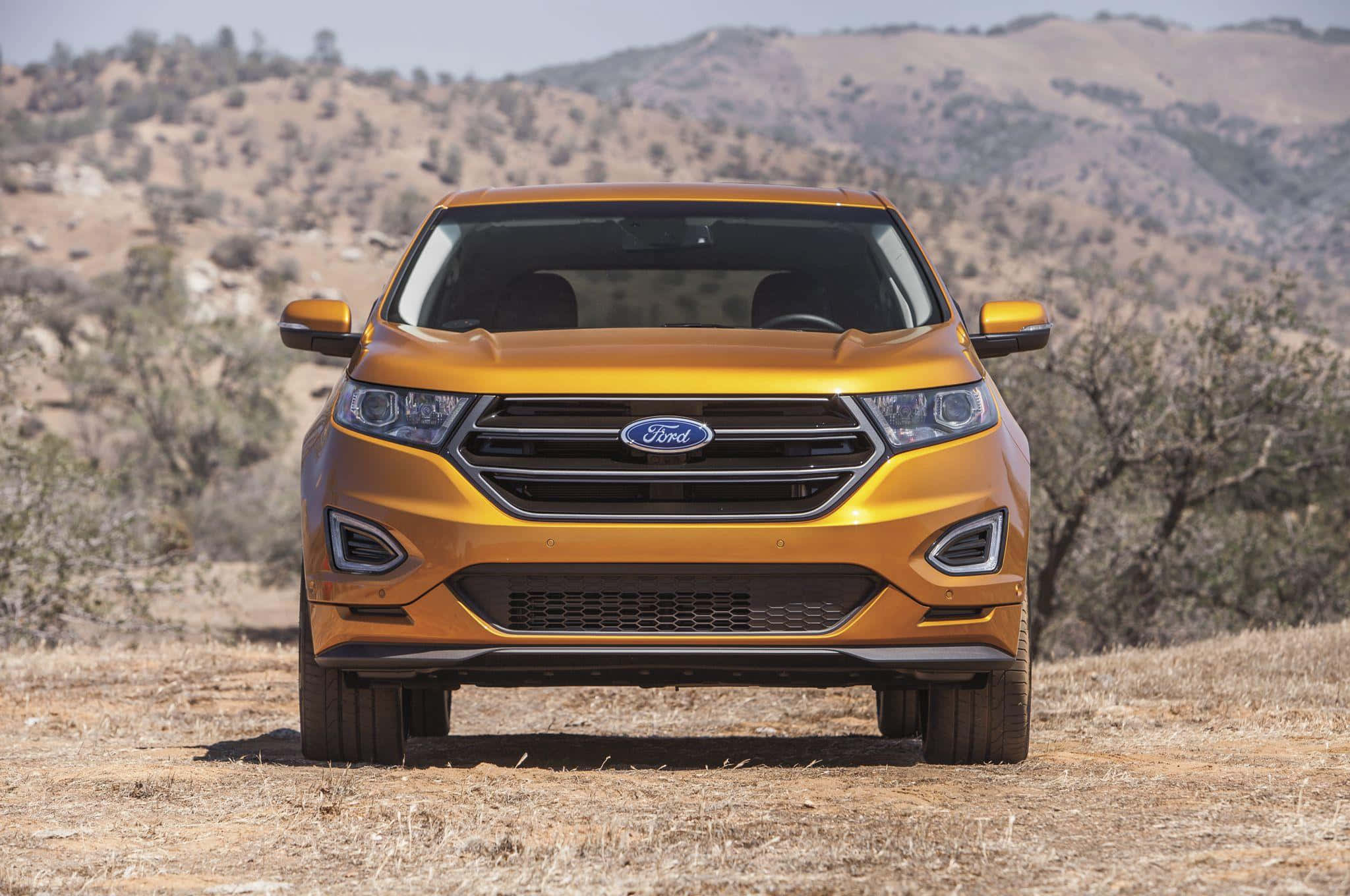 Ford Edge 桌布 壁紙 — 一輛充滿活力的金色福特SUV在乾草上向前，背景有起伏的山丘和稀疏的樹木，在明亮的日光下。