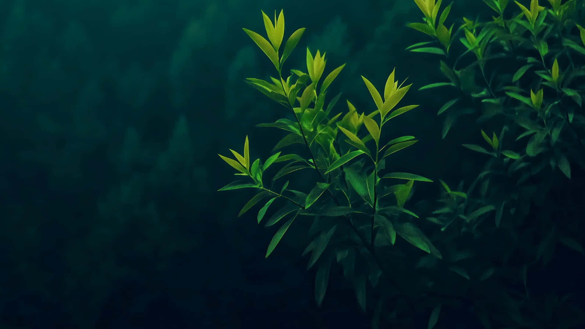  壁紙 — 鮮豔的綠葉在深藍綠色森林背景下發光，呈現寧靜的自然場景。