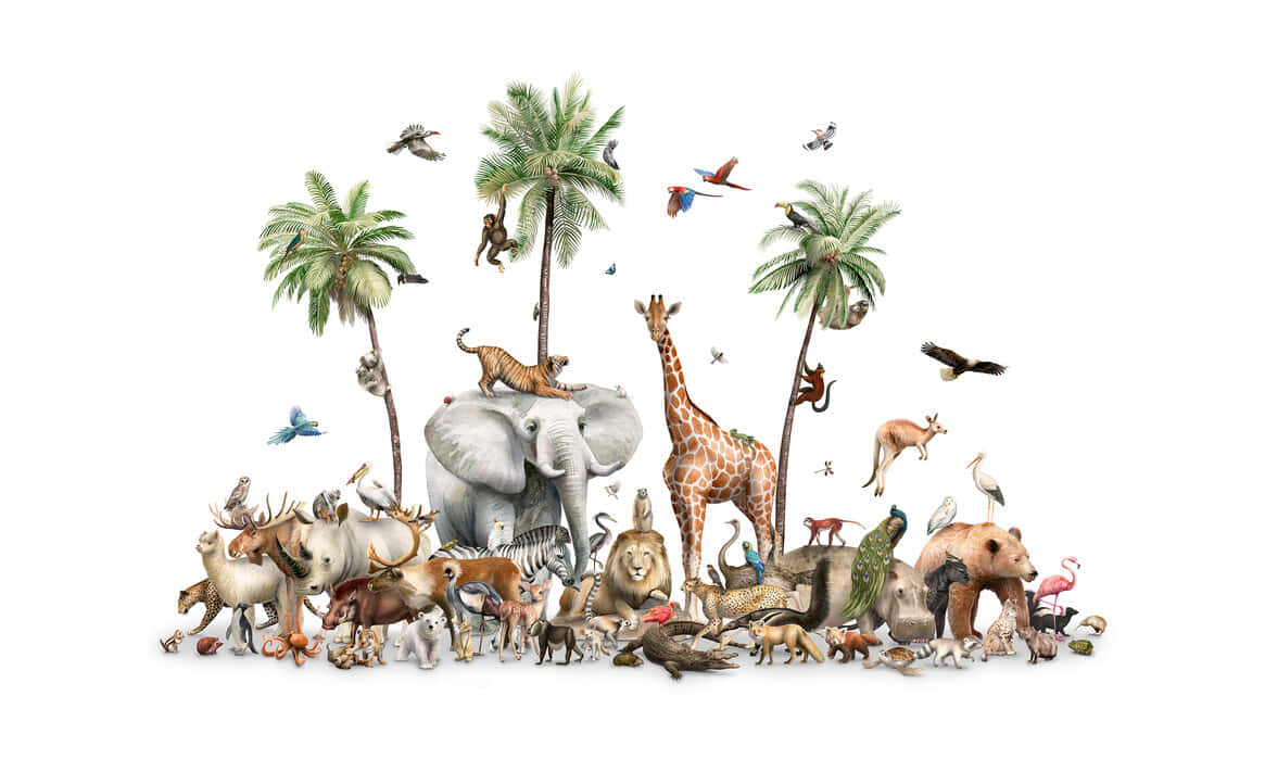  壁紙 — 一幅充滿活力的插圖，描繪了多樣化的全球野生動物聚集在棕櫚樹和大象周圍，鳥兒在頭頂飛翔。
