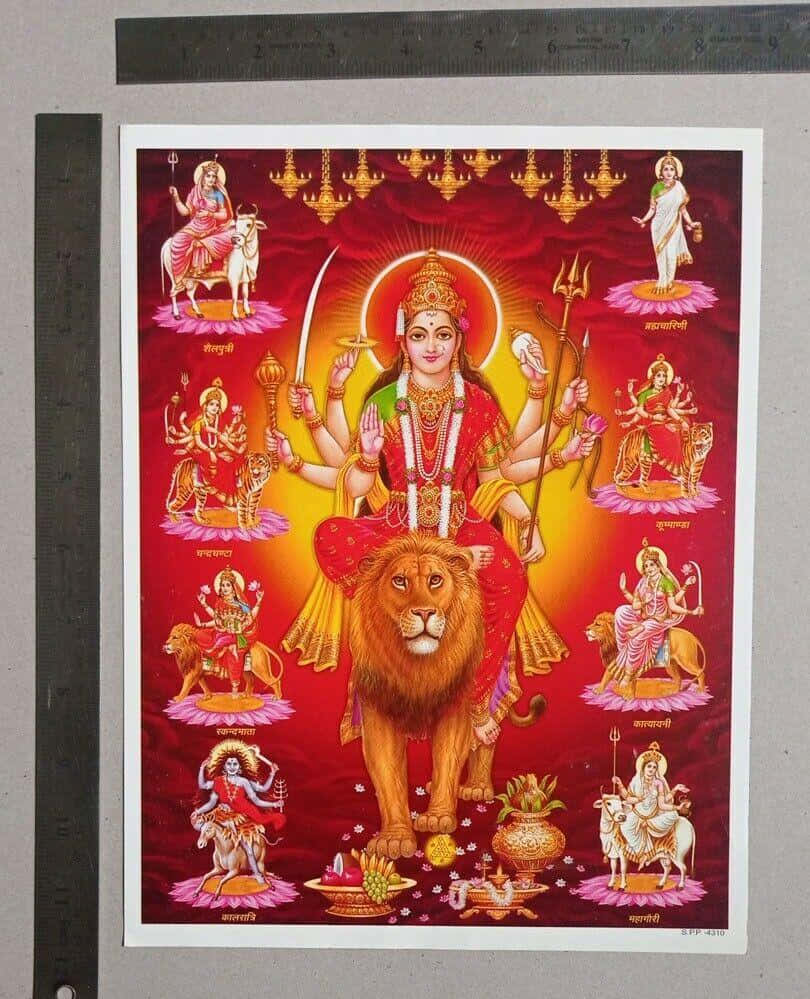  壁紙 — 一幅充滿活力的插圖，描繪了印度教女神杜爾迦（Durga）有十臂騎著獅子，被她的九種形態圍繞在粉紅色蓮花底座上，背景是光芒四射的紅色。