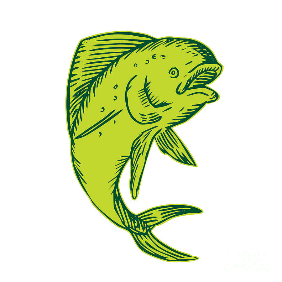 風格化插圖，描繪一條帶有詳細線條藝術的綠色魚。 — 邁阿密海豚 GIF 壁紙