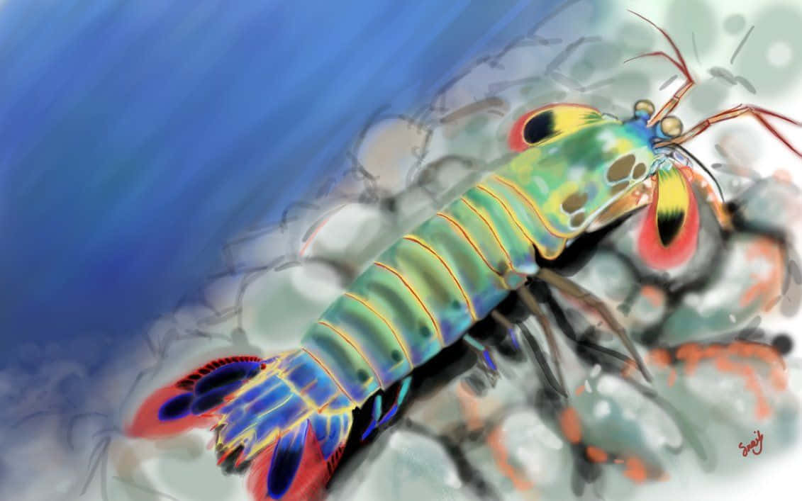 Pistol Shrimp 桌布 壁紙 — 一隻色彩鮮豔的螳螂蝦在岩石海底休息，背景是藍色海水。