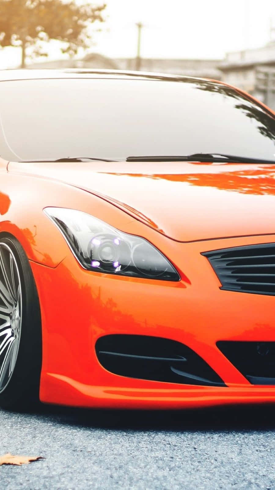 Infiniti G35 桌布 壁紙 — 一輛充滿活力的橙色跑車在溫暖的陽光下閃耀，背景是模糊的秋日景色。