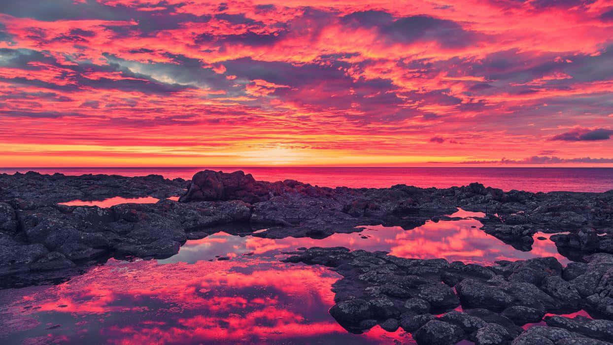 Colorful Sunset 桌布 壁紙 — 海中深色火山岩間的潮汐池中反射出充滿活力的粉紅色和橙色日落雲彩。