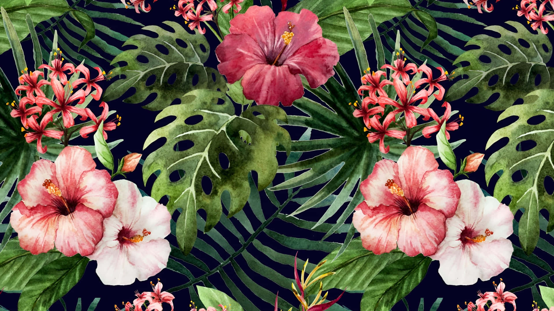  壁紙 — 鮮豔的粉紅色和白色木槿花在茂密的綠色龜背竹和棕櫚葉中盛開，背景為深海軍藍色。