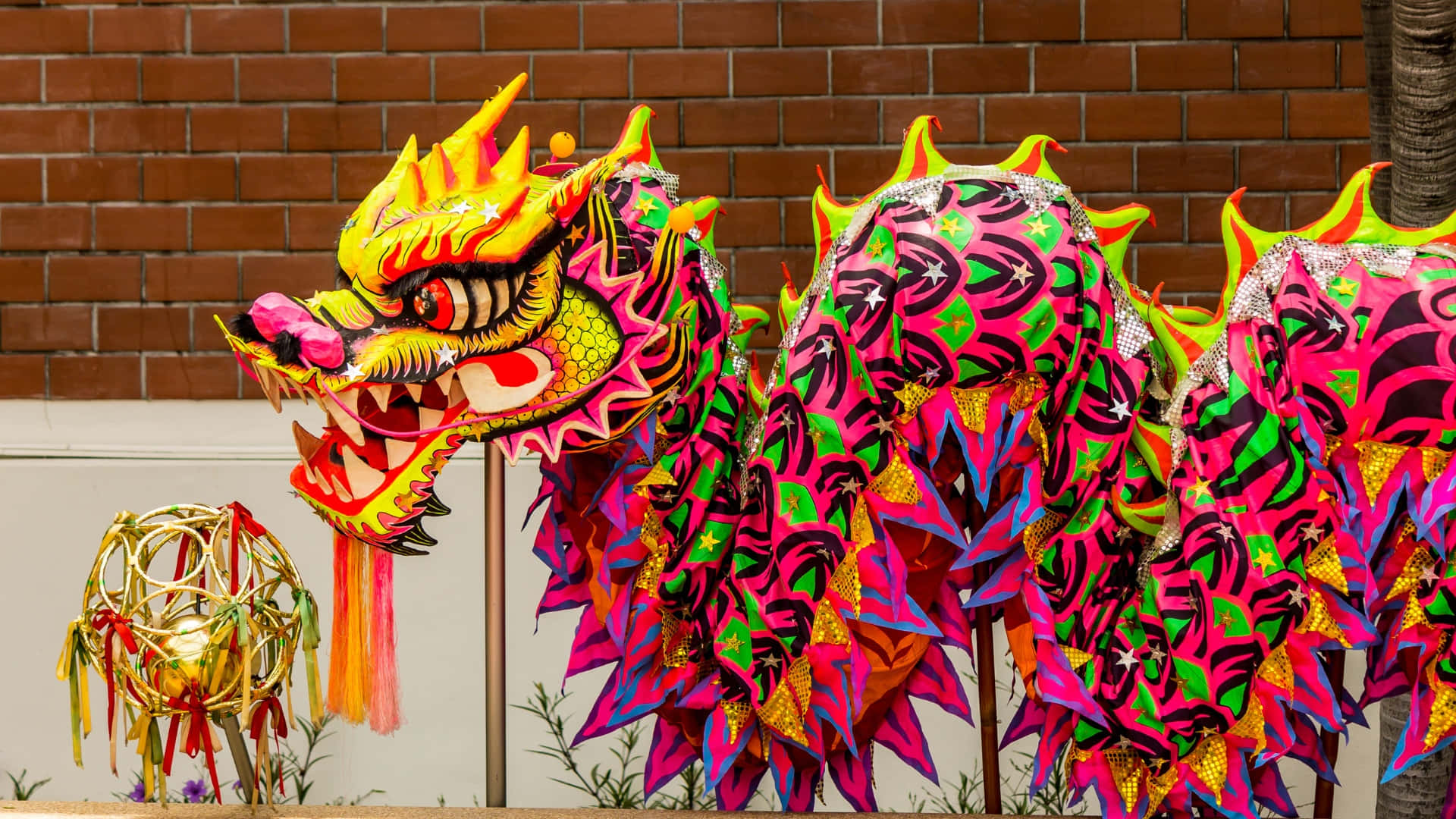 壁紙 — 鮮豔的粉紅、綠和黃色舞龍服裝，帶有閃閃發光的鱗片，站在磚牆旁，旁邊有一個金色的球。