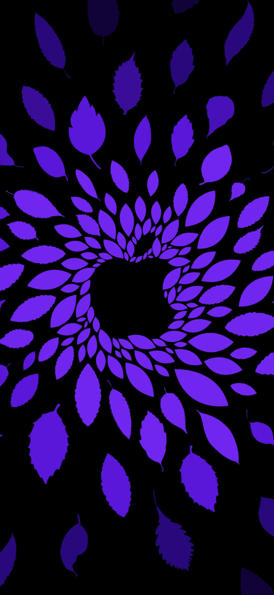  壁紙 — 充滿活力的紫色葉子在漆黑的背景下向內盤旋，形成催眠般的隧道。