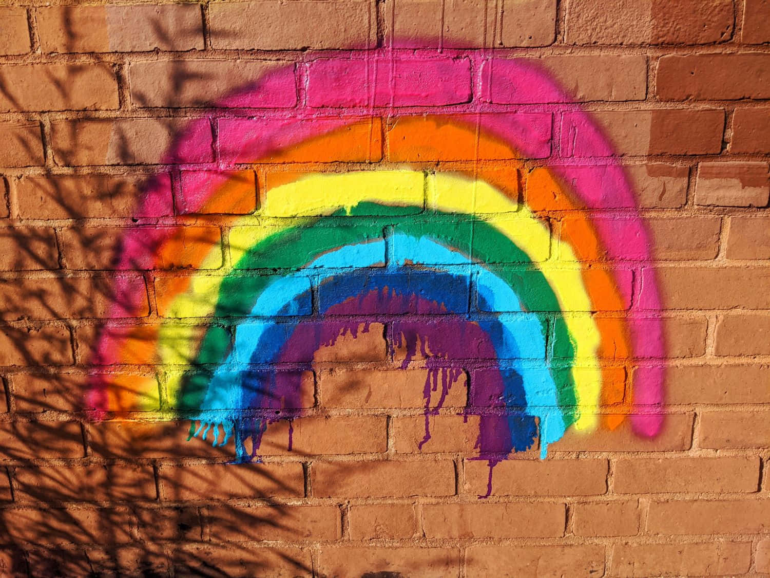 Rainbow Graffiti 桌布 壁紙 — 鮮豔的彩虹塗鴉在陽光照耀的磚牆上劃出弧線，油漆滴落，樹影投射在場景中。