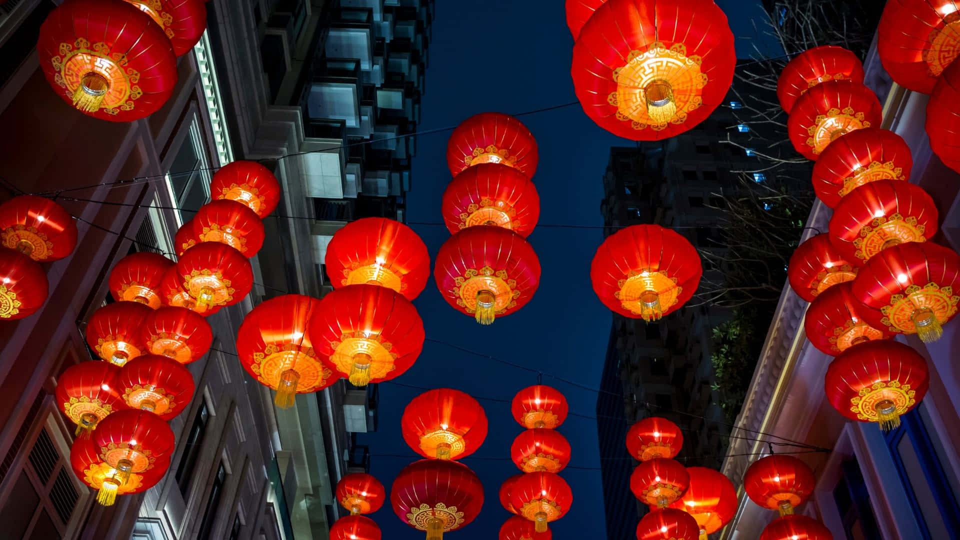  壁紙 — 鮮豔的紅色燈籠在都市建築之間深藍色的夜空中溫暖地發光。