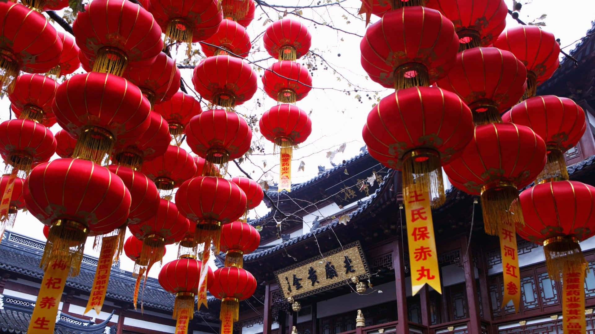  壁紙 — 鮮豔的紅色燈籠密集地掛在傳統中國寺廟上方的樹枝上，寺廟有華麗的屋頂瓦片。