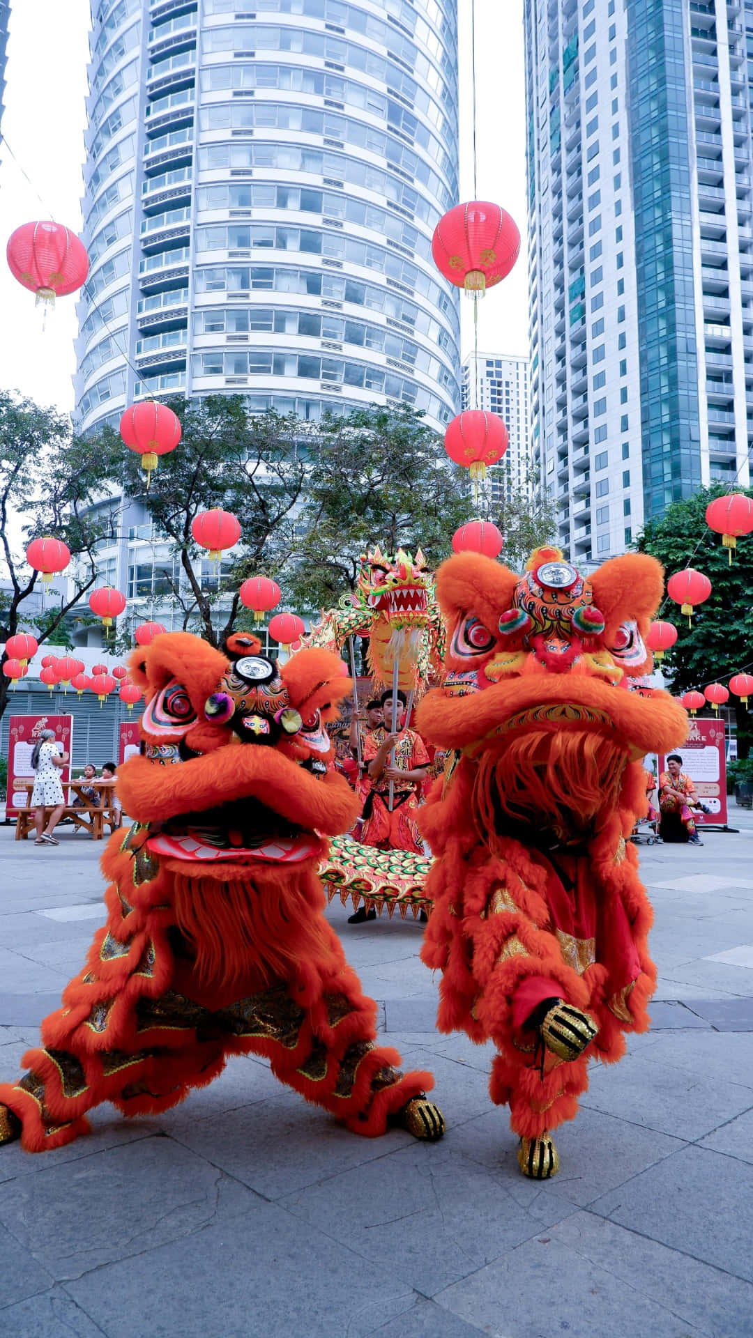  壁紙 — 色彩鮮豔的紅色舞獅表演者穿著精緻服裝，在裝飾著紅燈籠和現代摩天大樓的城市廣場上充滿活力地表演。